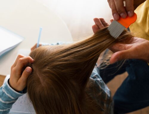 Professional Lice Screening Seattle