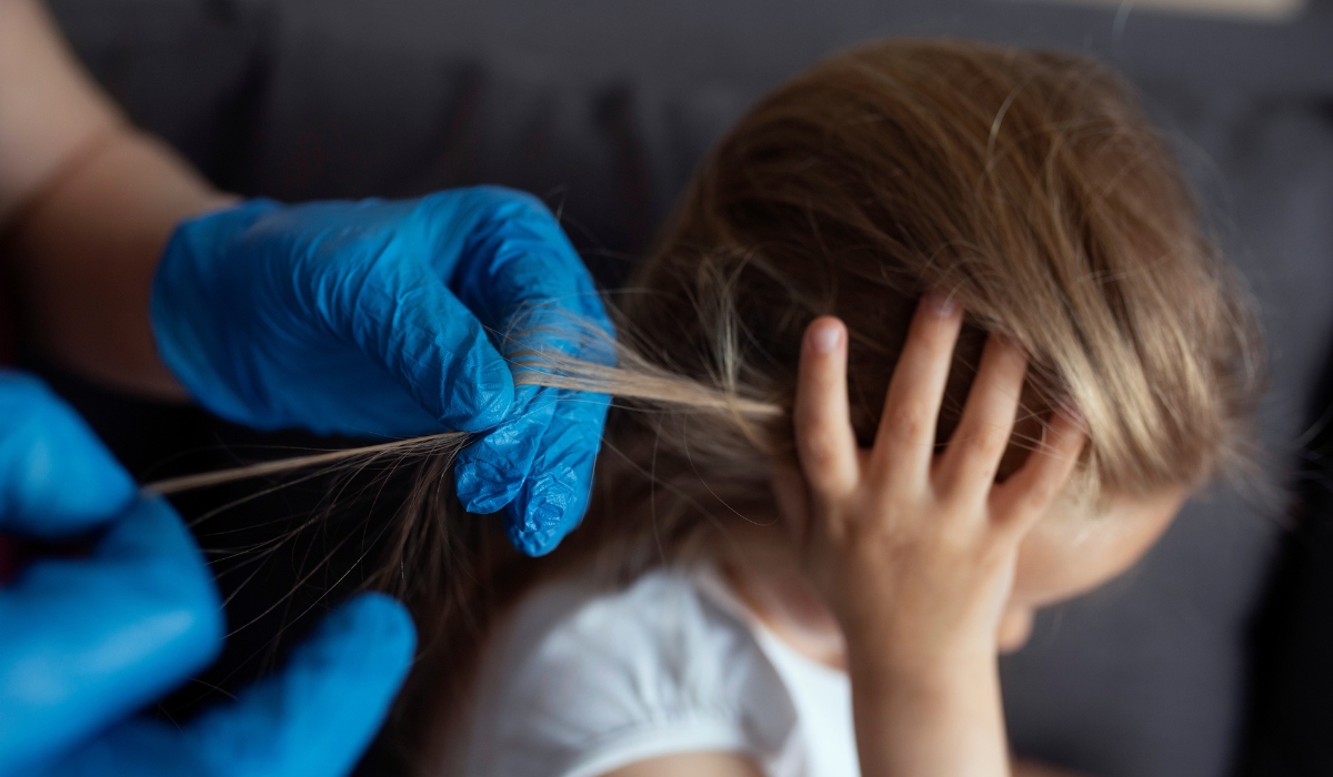 Head lice examination in Seattle