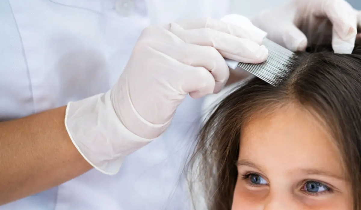 Lice removal expert treating child in Seattle