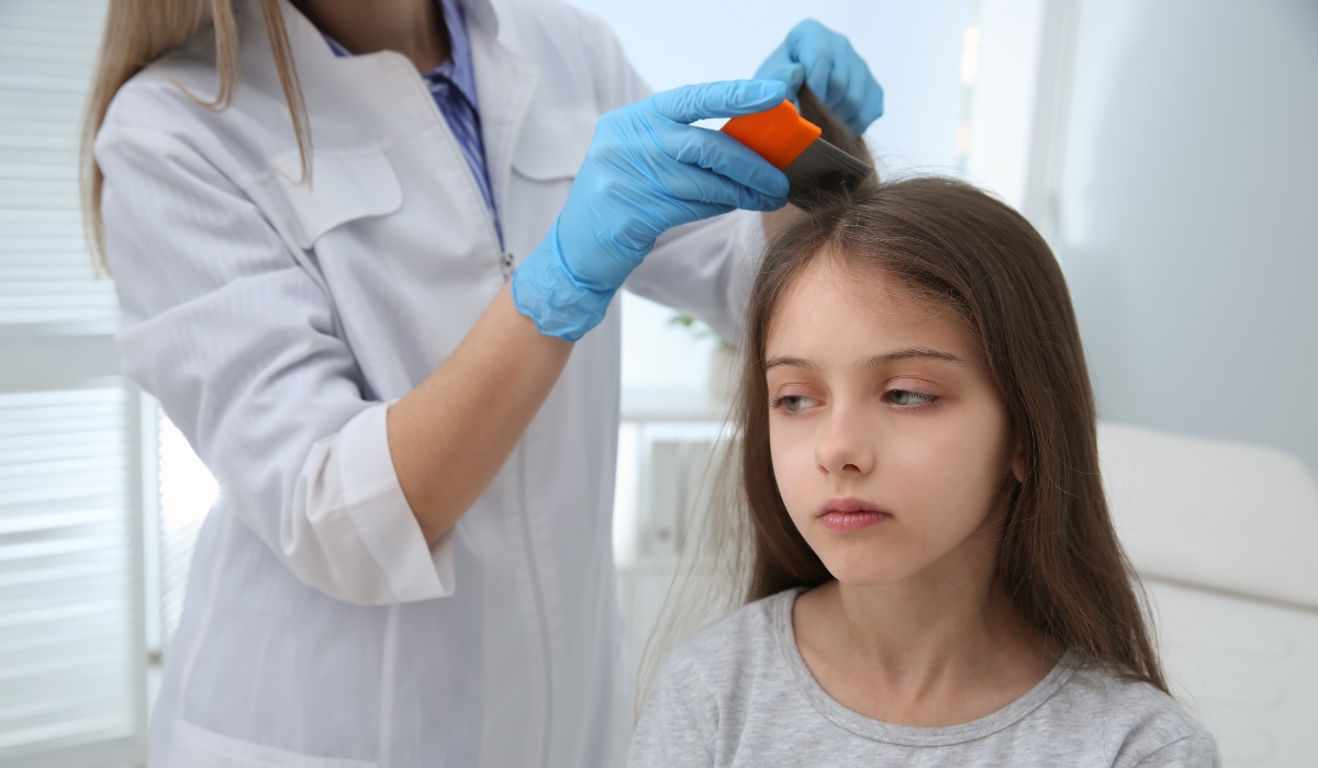 Lice check procedure in Seattle