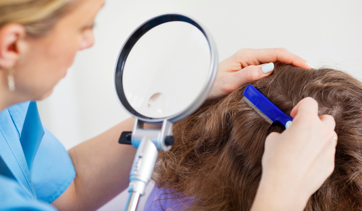 Professional lice removal service in Seattle focuses on thorough examination and treatment for effective results