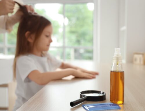 Lice Treatment Consultation Seattle