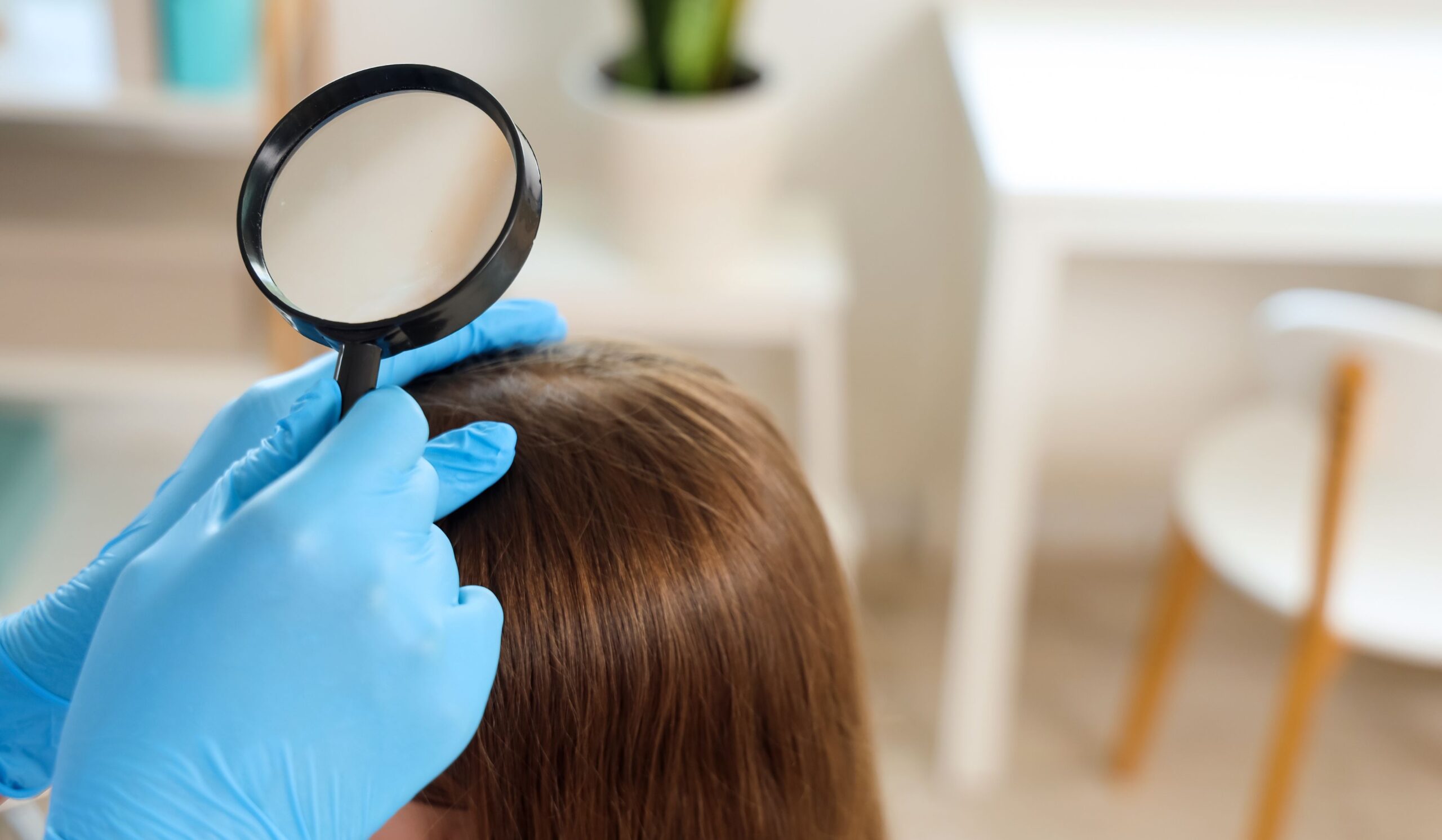 Lice specialist examines a child's hair in a Seattle metro clinic