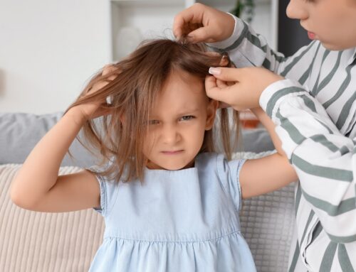 Lice Treatment Cost Seattle – Affordable Lice Removal Services by Lice Charmers