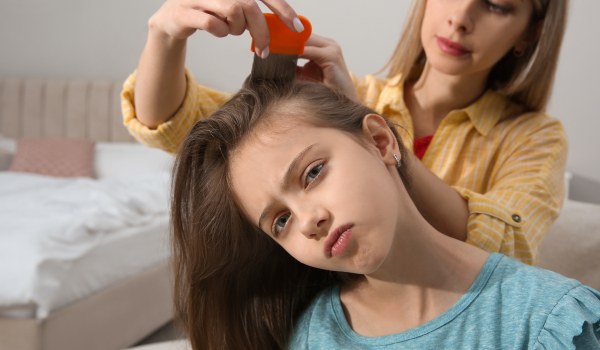 Professional lice treatment session for children in Seattle salon