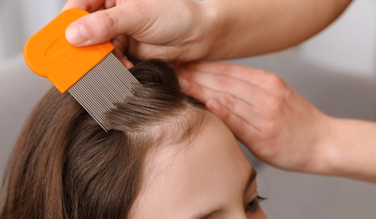 Mobile lice removal service in Seattle