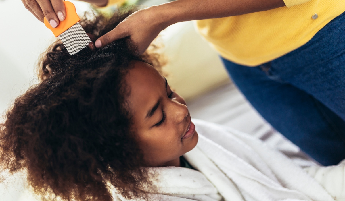 Professional lice removal service in Seattle helping children with effective treatment at home